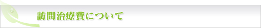訪問治療費について